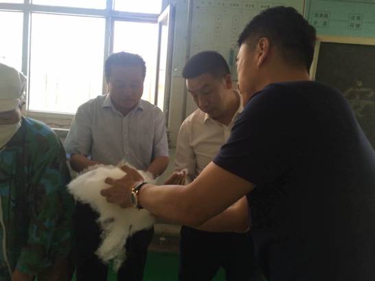 協(xié)會(huì)領(lǐng)導(dǎo)一行走訪企業(yè)開展調(diào)研活動(dòng)